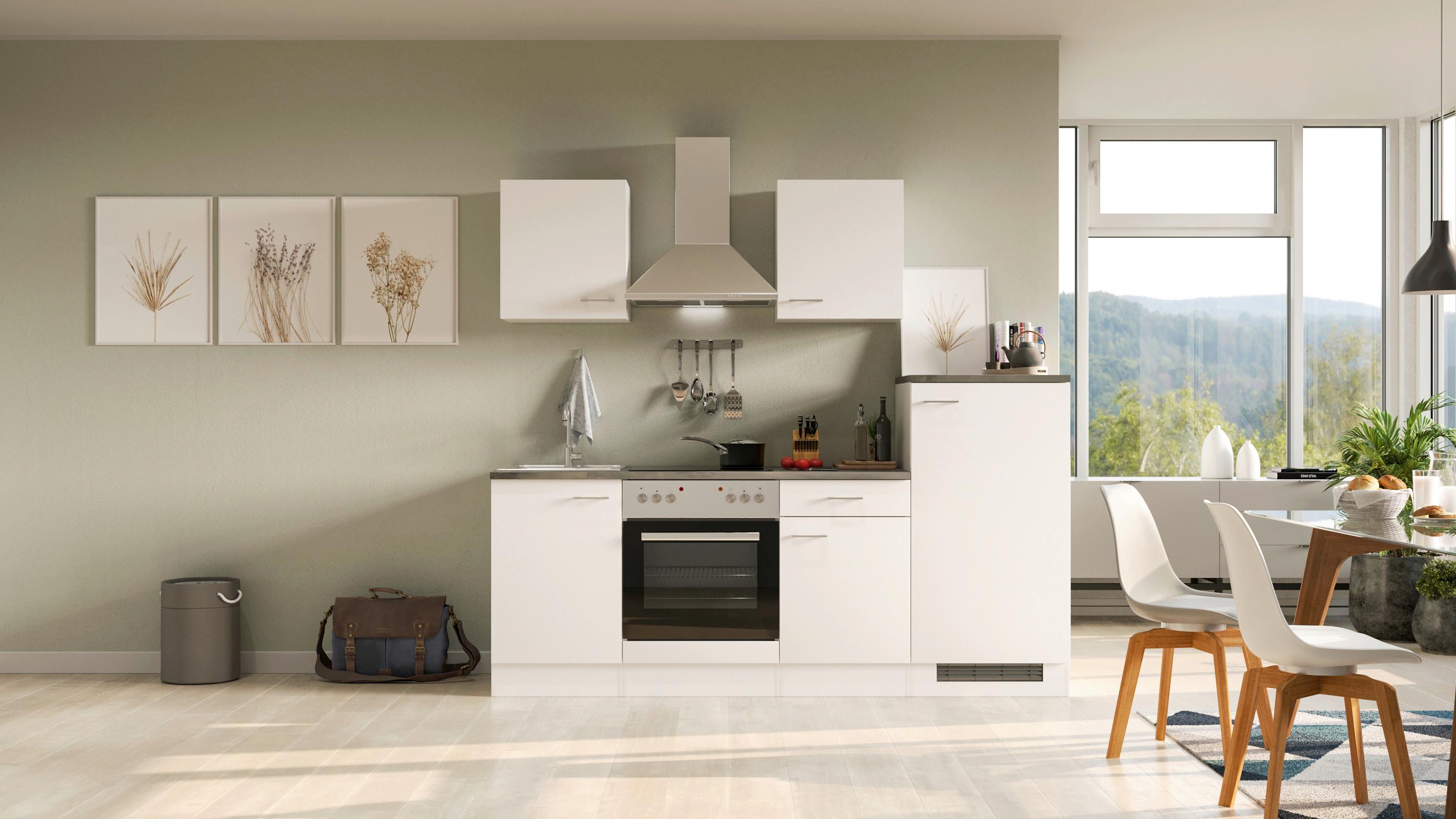 Kuhinjski Blok Z Aparati Lucca, Bela - bela/barve aluminija, Moderno, umetna masa/leseni material (220,5cm) - FlexWell
