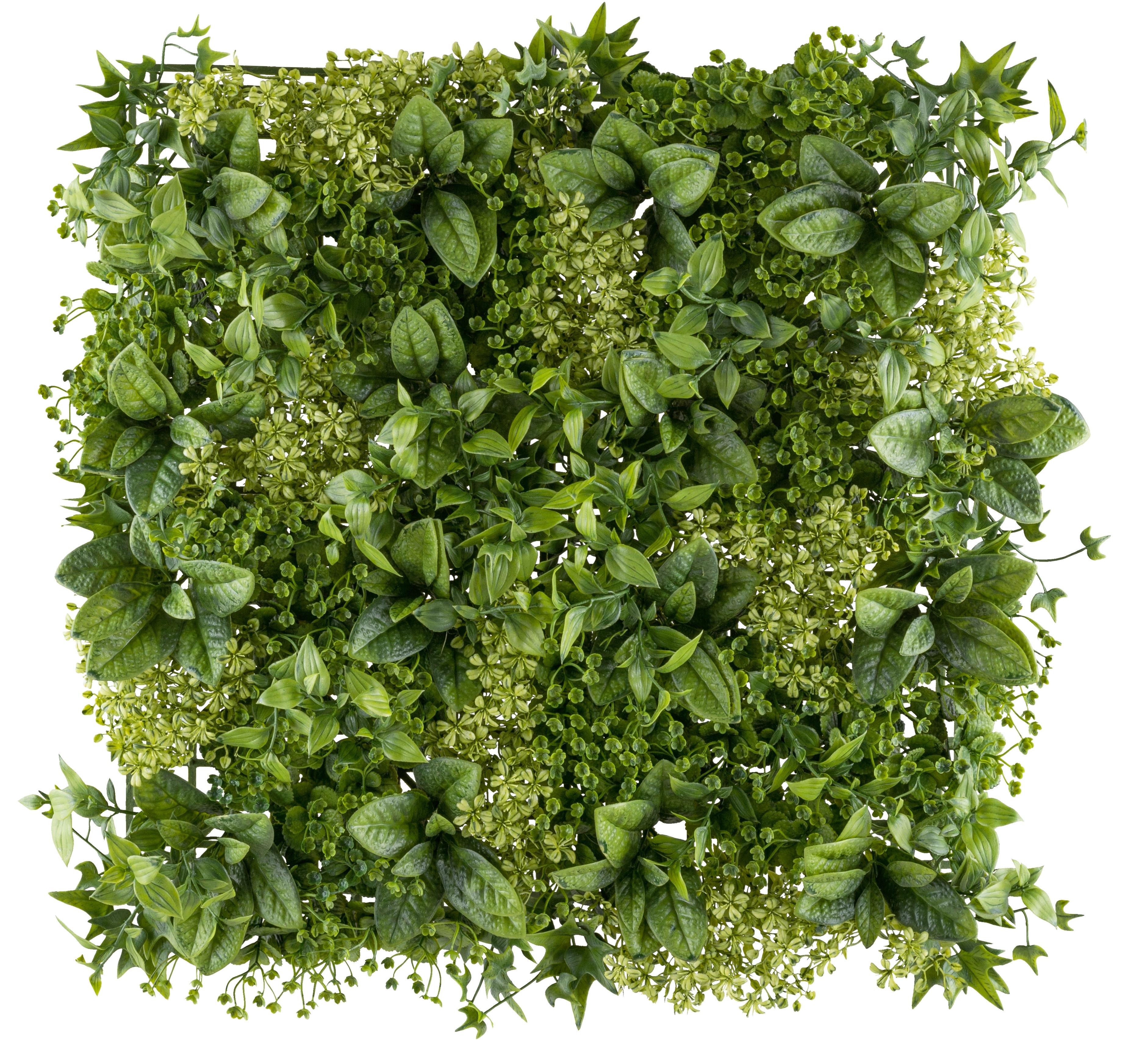 Kunstpflanze Wandmattte I Grün ca. 50x50cm - Grün, MODERN, Kunststoff (50x50cm) - Mömax