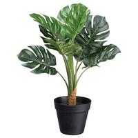 Műnövény Splitphilodendron Ii - fekete/zöld, Basics, műanyag (45cm) - Modern Living