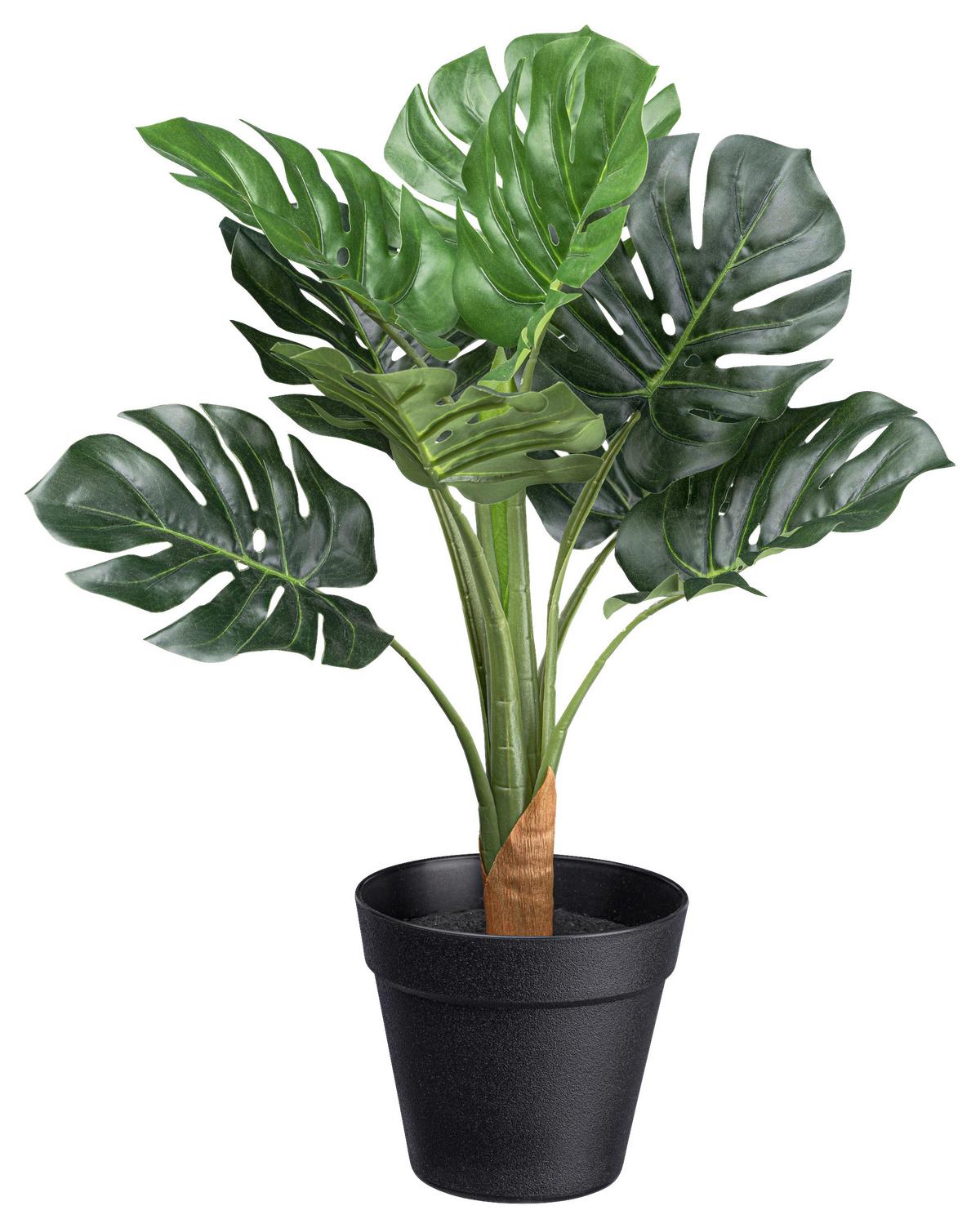 Műnövény Splitphilodendron Ii - fekete/zöld, Basics, műanyag (45cm) - Modern Living