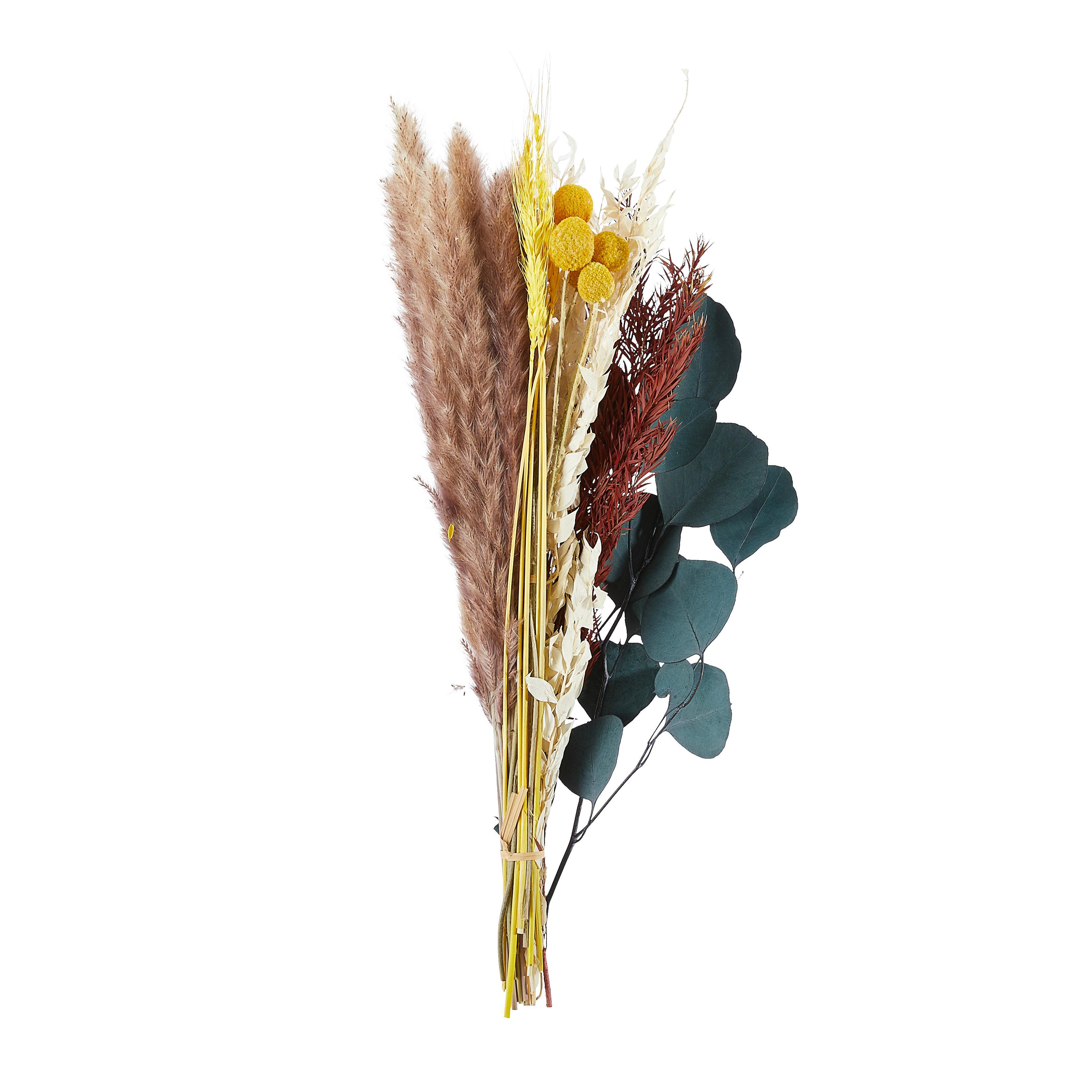 BUKIET Z SUSZONYCH KWIATÓW 2039-616 - kolor naturalny, Basics (45cm)