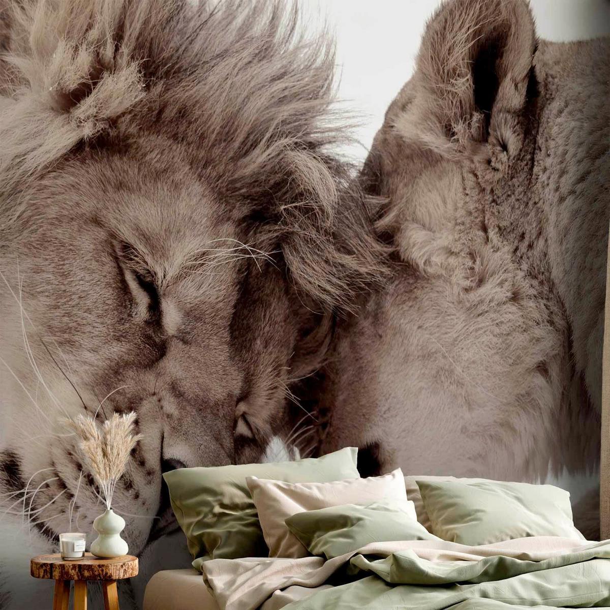 Fototapeta Lion Tenderness, 200x140cm - bela/bež, Trendi, tekstil (200/140cm) - artgeist