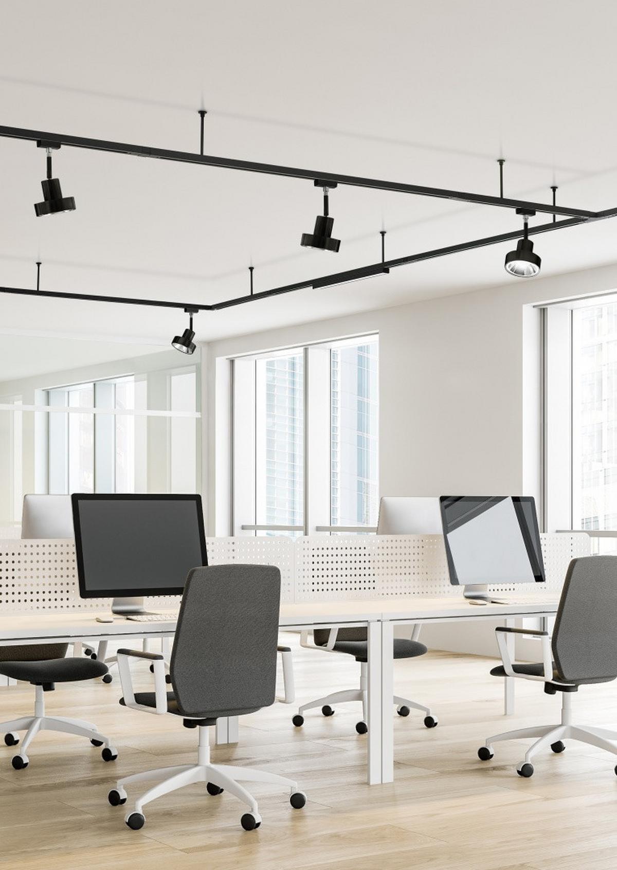 Schienensystem-Verbinder Duoline Connector Schwarz - Schwarz, Basics (9,6/2/3cm) - Trio Leuchten