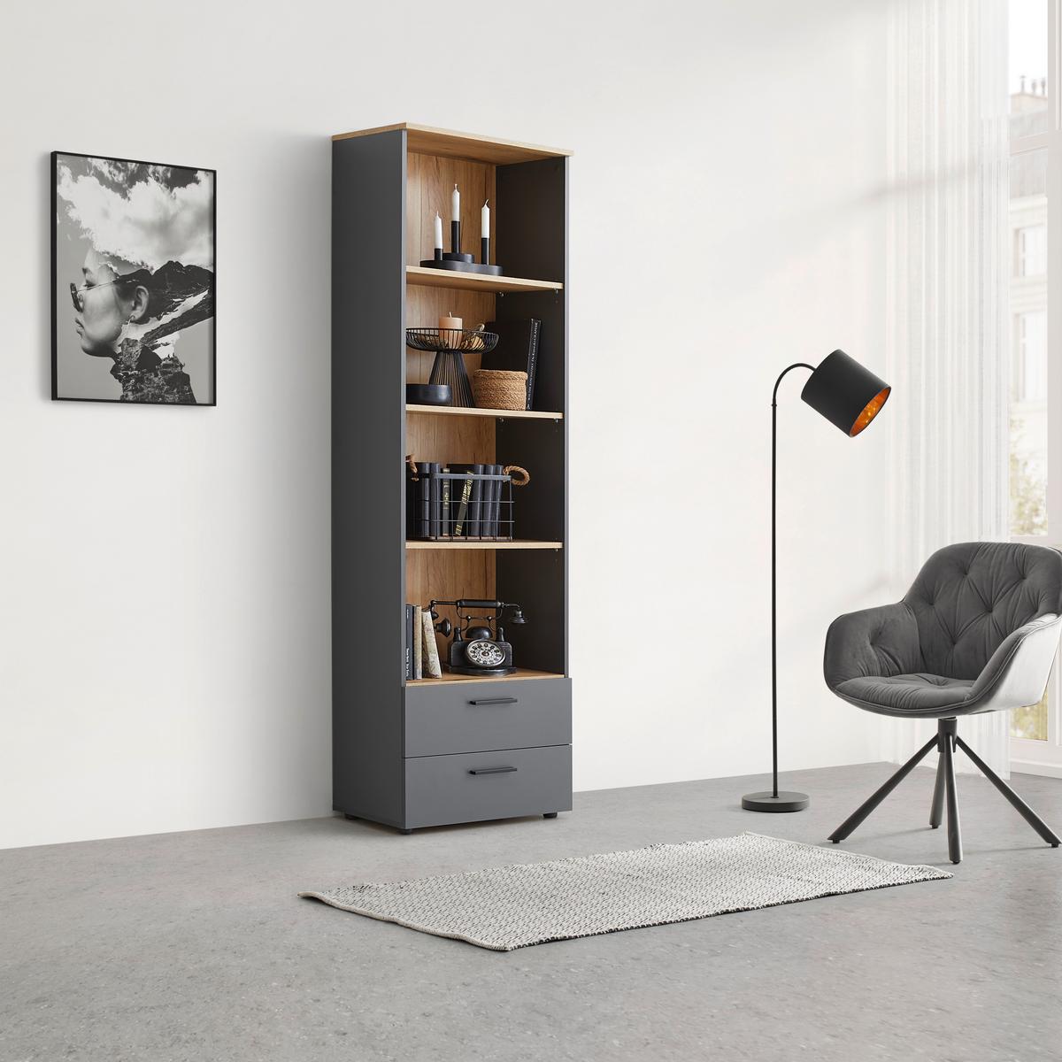 Regal Cadix Anthrazit/Eichefarben - Eichefarben/Anthrazit, Konventionell, Holzwerkstoff/Kunststoff (60/195/36cm) - Mömax