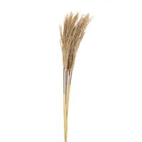Dekor Növény Natur - natúr színű, természetes anyagok (50-60cm) - Modern Living