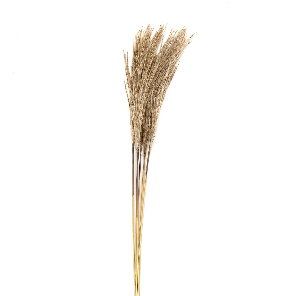 Dekor Növény Natur - natúr színű, természetes anyagok (50-60cm) - Modern Living
