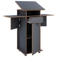 Stoječi Pult Salia L, Antracit, Barva Hrasta - medeni hrast/antracit, Design, leseni material (123/128/44cm) - MID.YOU