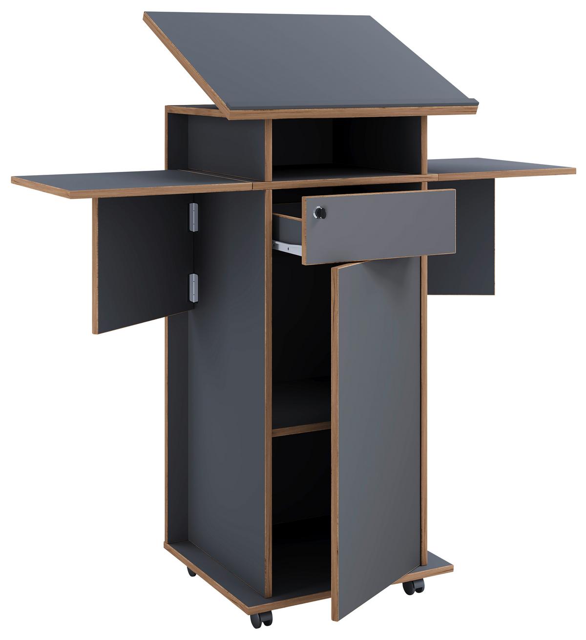 Stoječi Pult Salia L, Antracit, Barva Hrasta - medeni hrast/antracit, Design, leseni material (123/128/44cm) - MID.YOU