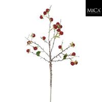 Okrasna Vejica Rubus - Moderno (55cm) - Mömax
