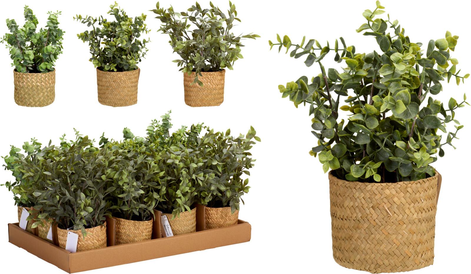 Biljka Umjetna Grass Bas Ø: 25cm - Moderno (25/32cm)