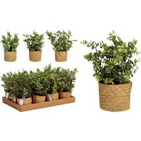 Biljka Umjetna Grass Bas Ø: 25cm - Moderno (25/32cm)