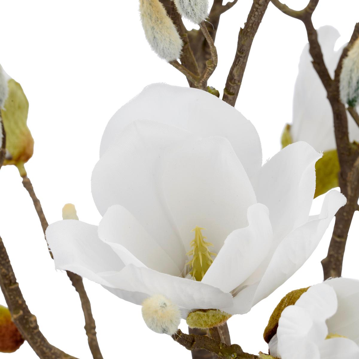 Magnolie Weiß ca. 65cm - Schwarz/Weiß, Basics, Kunststoff/Textil (65cm) - Mömax