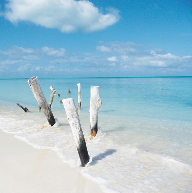 OBRAZ NA PŁÓTNIE LB-STK1033 - różnokolorowy, Natur, drewno/papier (30/30/3cm) - Euroart