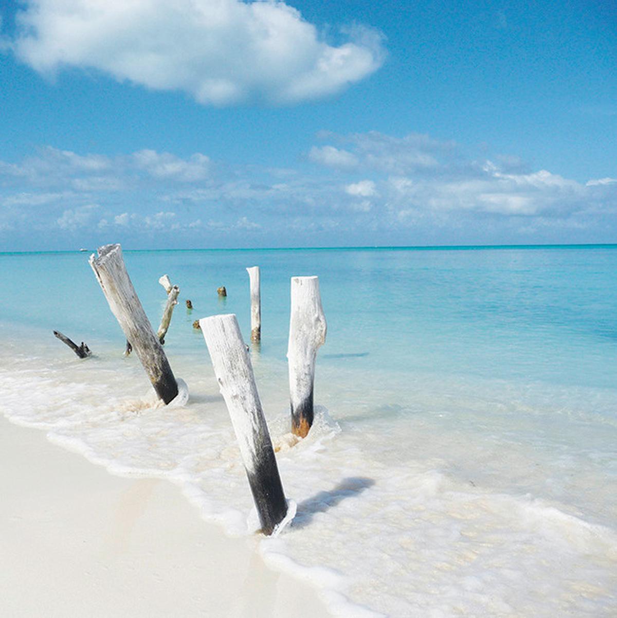 OBRAZ NA PŁÓTNIE LB-STK1033 - różnokolorowy, Natur, drewno/papier (30/30/3cm) - Euroart