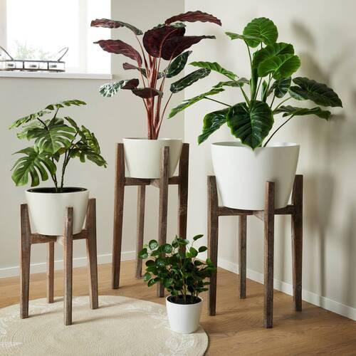 Dekor Állvány Ascot - natúr, Romantik / Landhaus, fa (43/60cm) - Modern Living