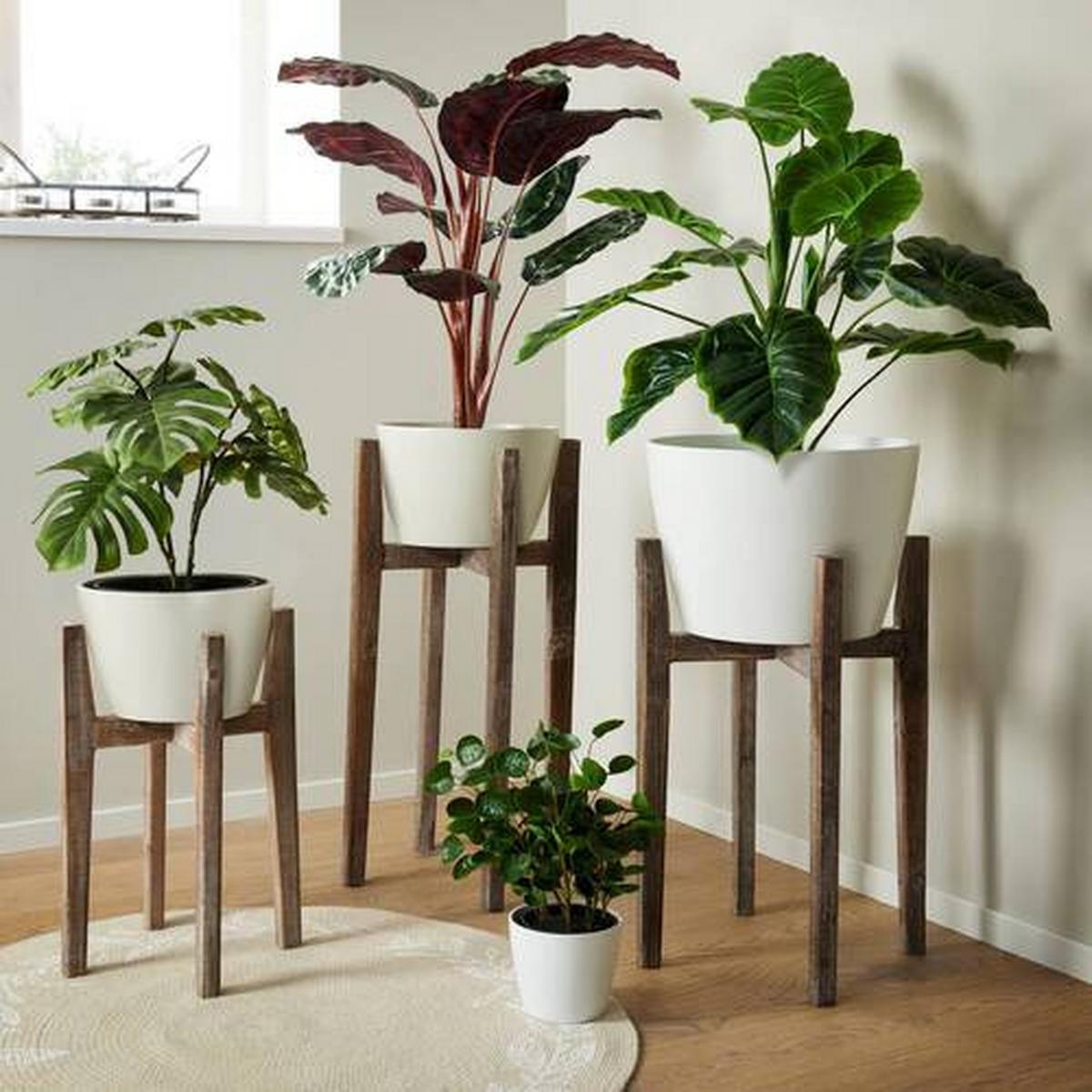 Dekor Állvány Ascot - natúr színű, Romantik / Landhaus, fa (43/60cm) - Modern Living