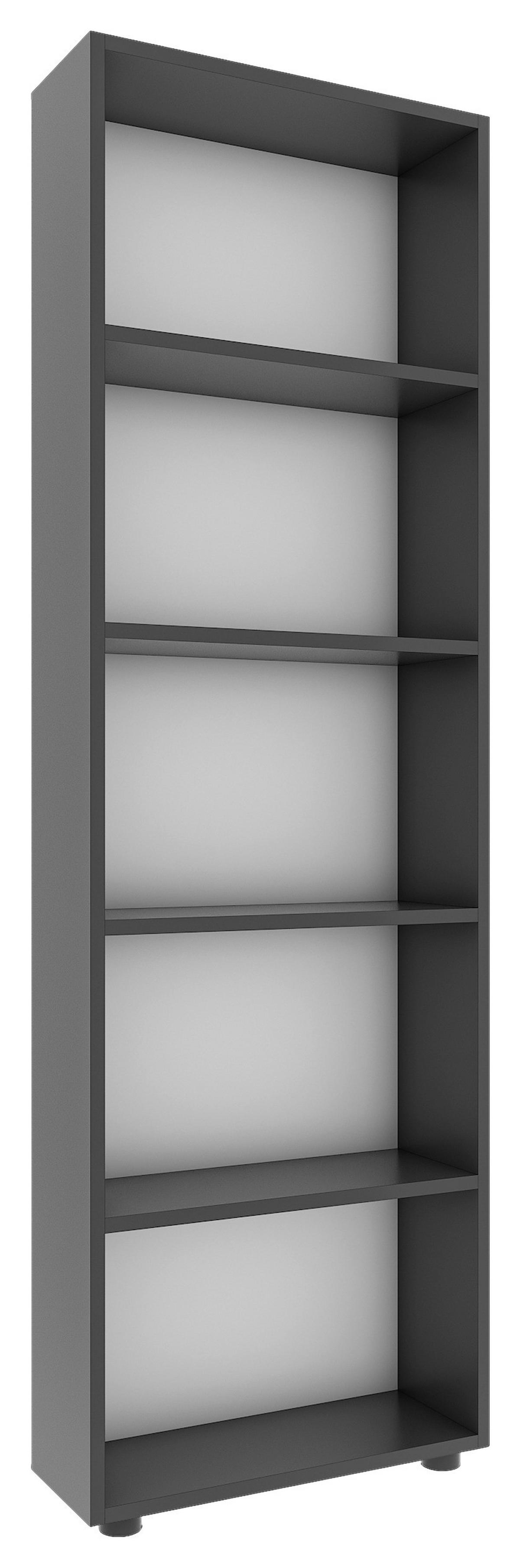 REGAL BULAS - Anthrazit/Schwarz, Basics, Holzwerkstoff/Kunststoff (56/169/20cm) - MID.YOU