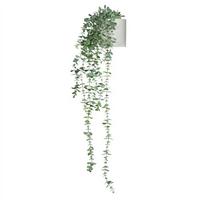 Umetna Rastlina Eucalyptus Climb - bela/zelena, Moderno, umetna masa (67/155/60cm) - MID.YOU
