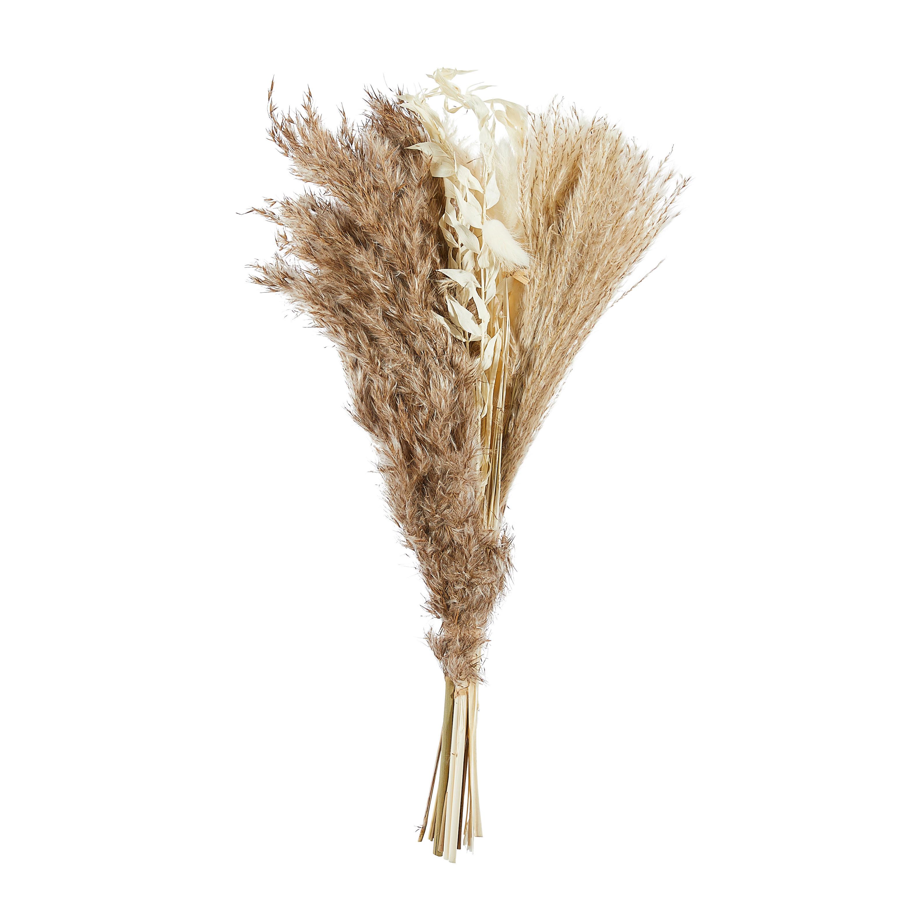 BUKIET Z SUSZONYCH KWIATÓW 2036-616 - kolor naturalny, Basics (45cm)