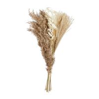 BUKIET Z SUSZONYCH KWIATÓW 2036-616 - kolor naturalny, Basics (45cm)
