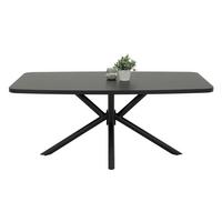ESSTISCH JANA II T - Schwarz, MODERN, Holzwerkstoff/Metall (180/76/100cm) - P & B