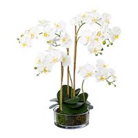 Kunstpflanze Weiß/Grün - Transparent/Weiß, Design, Glas/Kunststoff (50cm)