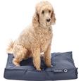 Hundekissen Said 75x55cm - Dunkelgrau, Textil (75/55/10cm) - Mömax modern living