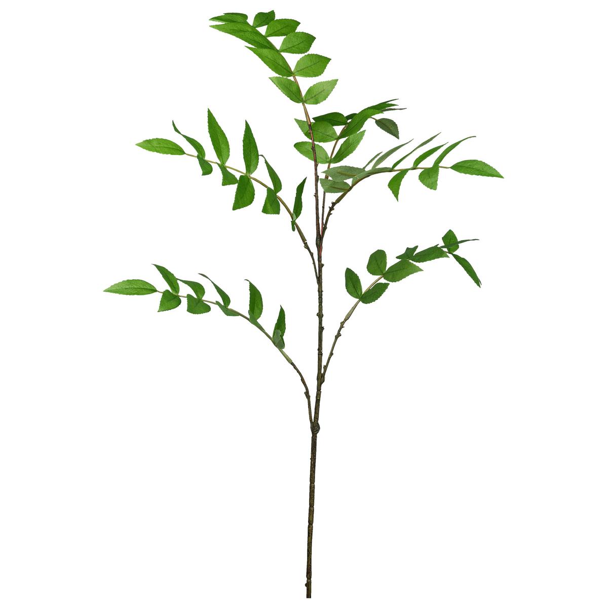 Dekozweig Eberesche II Grün/Braun - Braun/Grün, KONVENTIONELL, Kunststoff (93cm) - Mömax