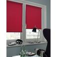 Klemmrollo Daylight in Rot, ca. 75x150cm - Rot, MODERN, Textil (75/150cm) - MÖMAX modern living