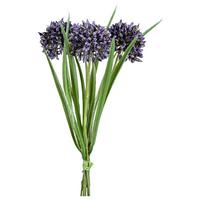 Umetna Rastlina Allium I - lila/zelena, Konvencionalno, umetna masa (28cm) - Modern Living
