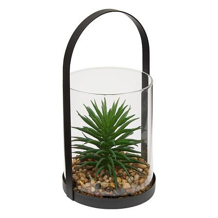 Plantă decorativă Terra, H: cca. 19 cm - Basics (11/10/19cm)