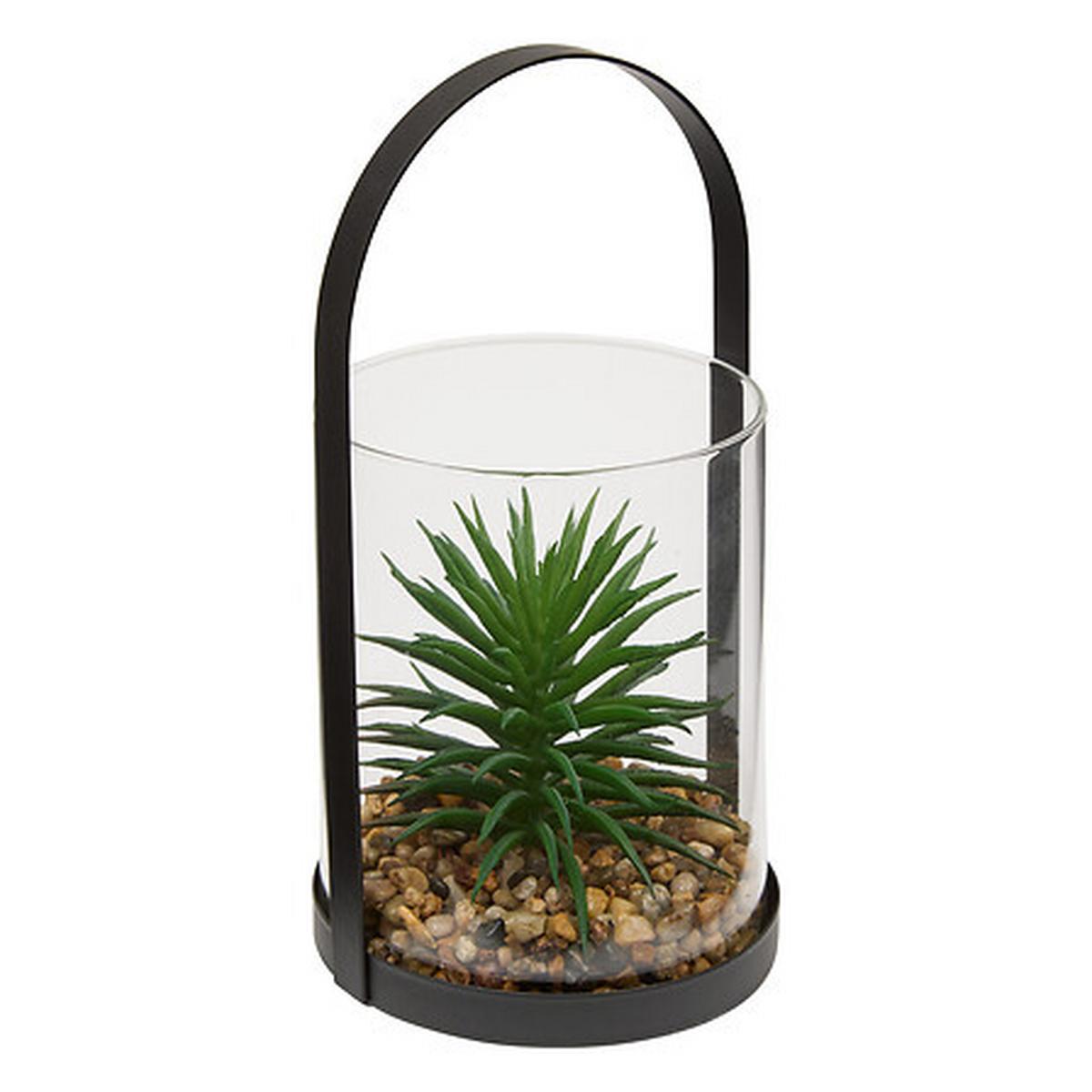 Plantă decorativă Terra, H: cca. 19 cm - Basics (11/10/19cm)