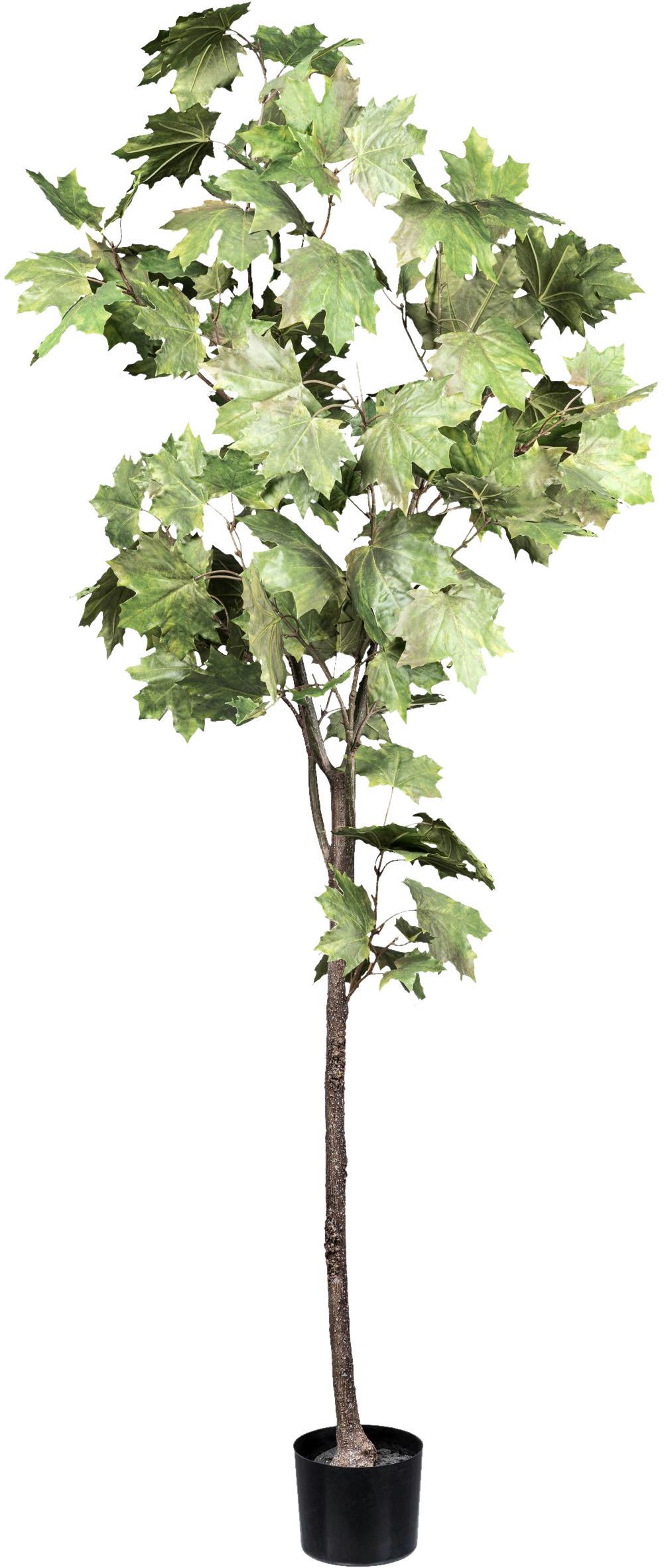 Kunstpflanze Grünpflanzen Grün/Braun/Schwarz - Schwarz/Braun, Design, Kunststoff (175cm)
