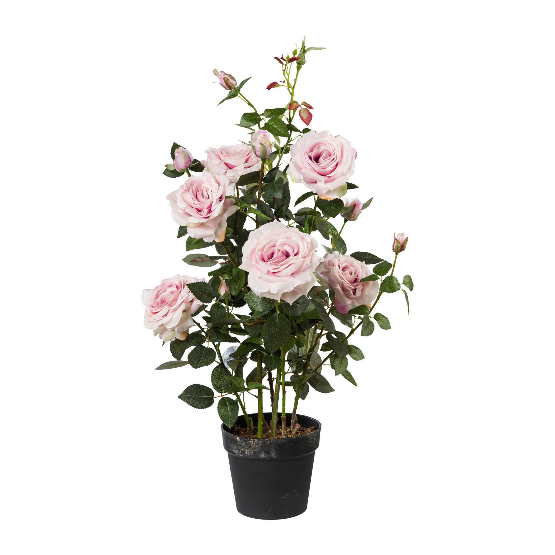 Kunstpflanze Rosenstock ca. 90cm - Rosa/Grün, Trend, Kunststoff (90cm) - MID.YOU