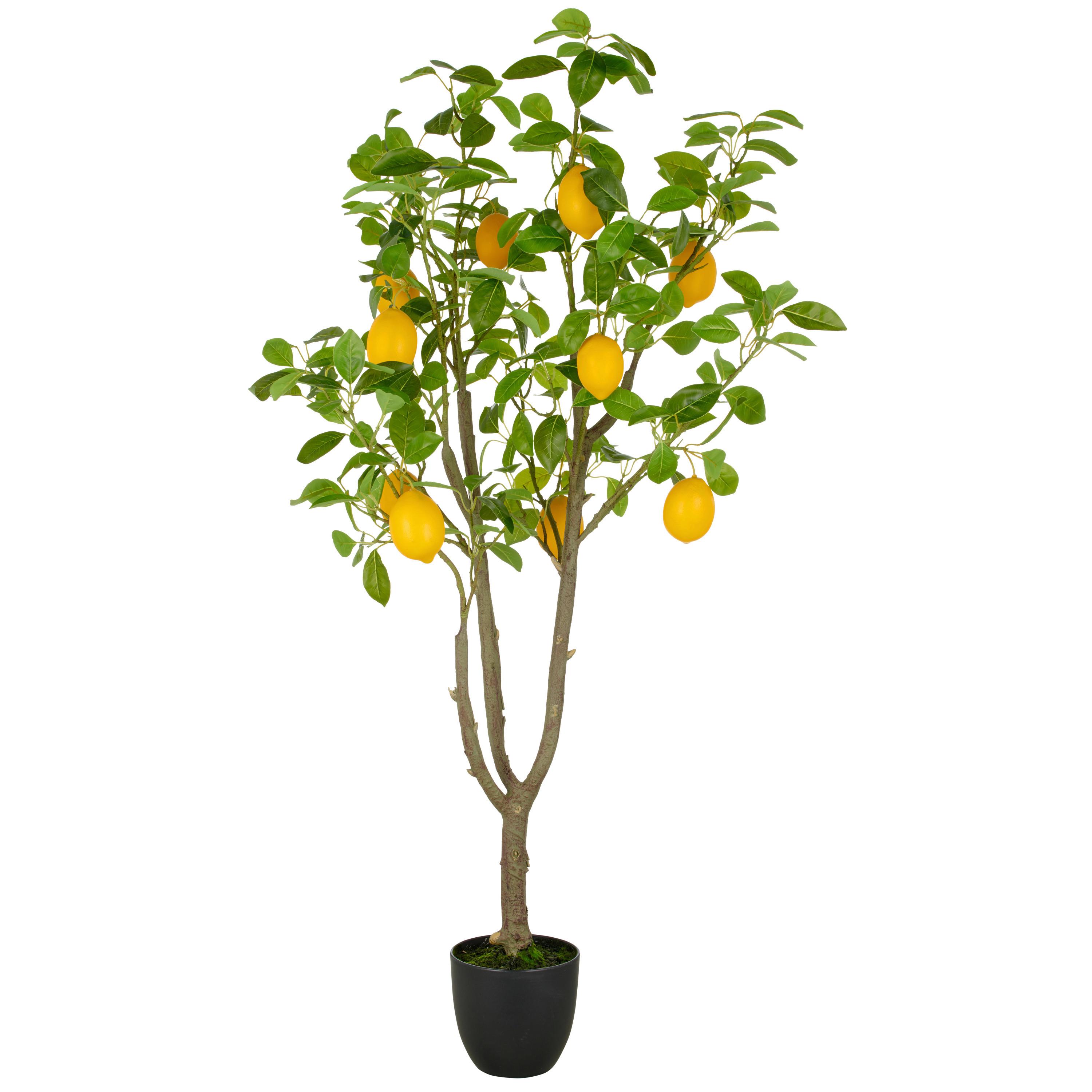 KUNSTPFLANZE ZITRONENBAUM - Gelb/Braun, Basics, Kunststoff (21/145/21cm)