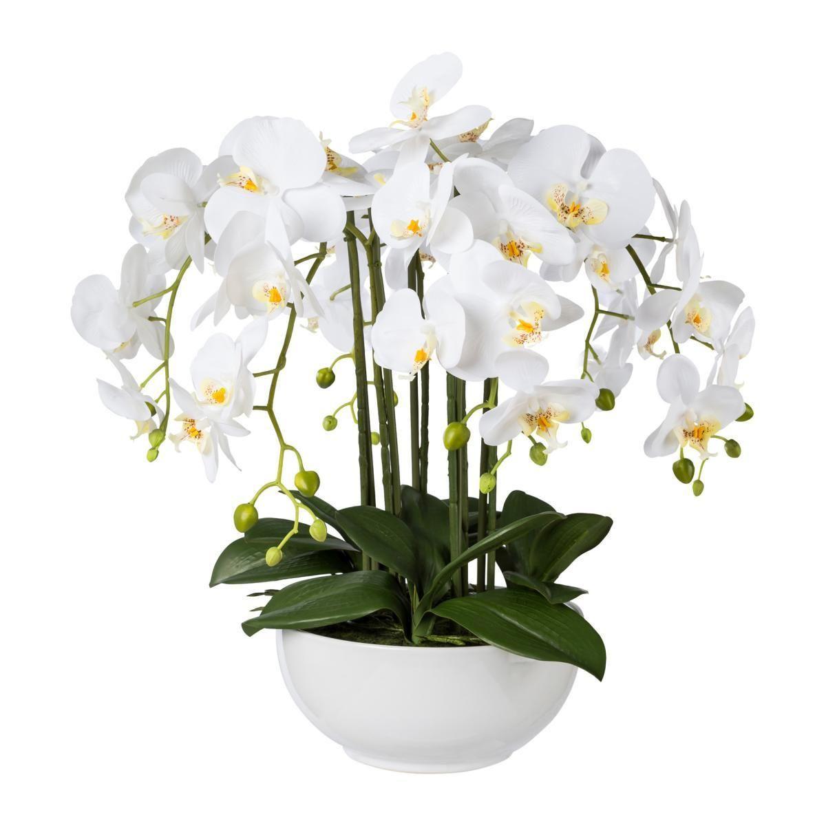 Kunstorchidee 1019035LO-40 inkl. Topf - Weiß/Grün, Trend, Kunststoff (54cm) - P & B