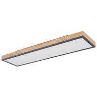 Plafonieră LED Doro - opal/grafit, Basics, plastic/metal (80/20/6,5cm) - Globo