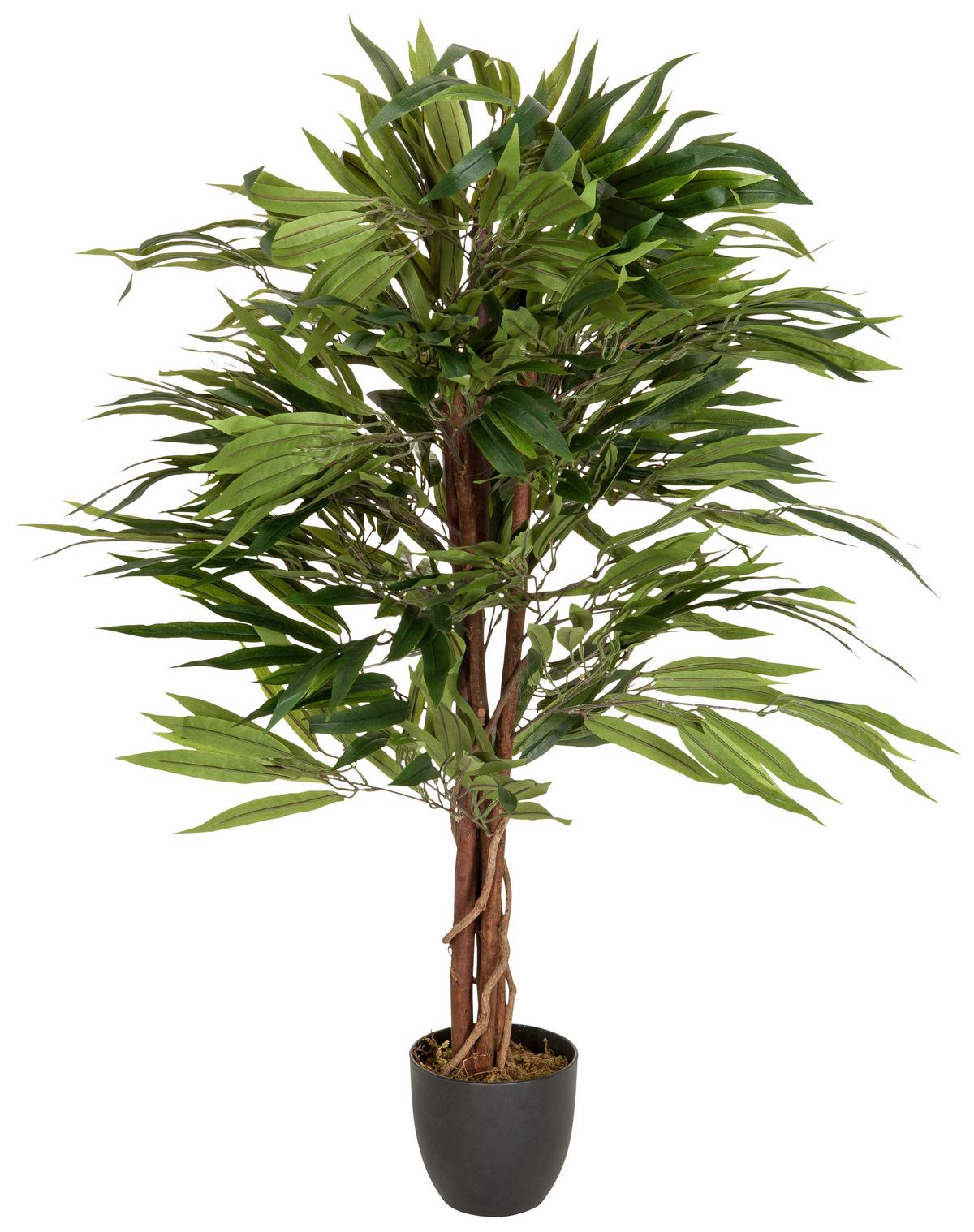 Umetna Rastlina Mango - črna/zelena, Basics, umetna masa (85/130/85cm) - MID.YOU
