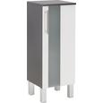 Spodnja Omarica Bozen - bela/krom, Moderno, kovina/steklo (33/85/31cm) - Mömax modern living Spodnja Omarica Bozen - bela/krom, Moderno, kovina/steklo (33/85/31cm) - Mömax modern living