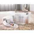 Aufbewahrungsbox Kunst - Transparent, Basics, Kunststoff (34.4/21.3/27.0cm) - Based Aufbewahrungsbox Kunst - Transparent, Basics, Kunststoff (34.4/21.3/27.0cm) - Based