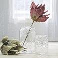 Vase Anett aus Glas - Klar, ROMANTIK / LANDHAUS, Glas (24/34cm) - Mömax modern living Vase Anett aus Glas - Klar, ROMANTIK / LANDHAUS, Glas (24/34cm) - Mömax modern living