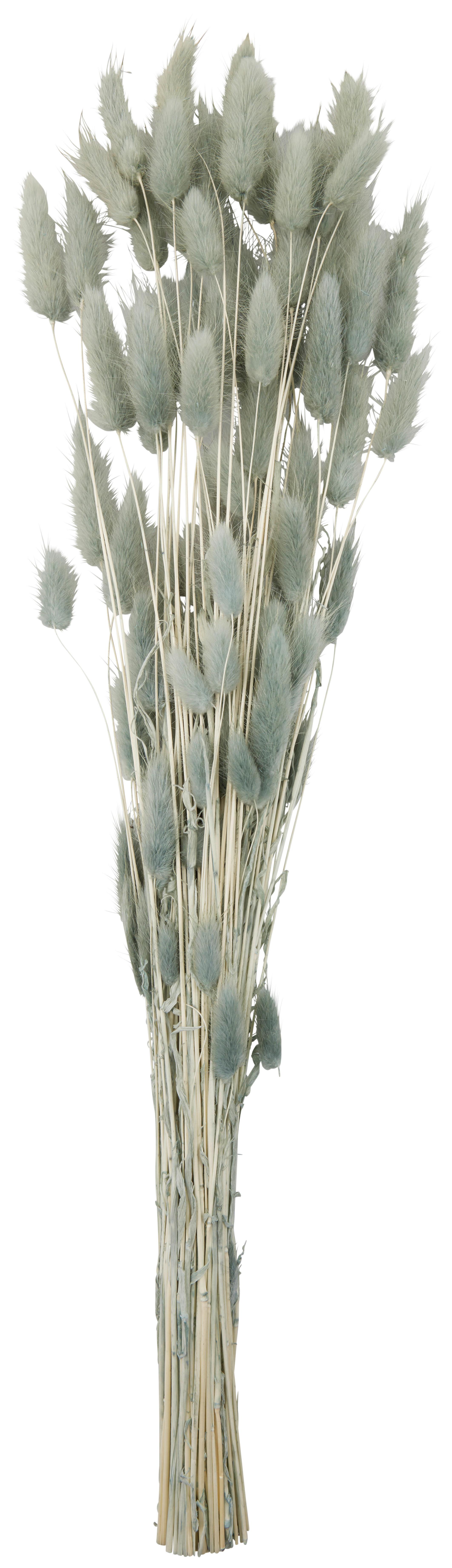 Dekor Gally Sam - bézs/zöld, Lifestyle, természetes anyagok (60/15/4cm) - Modern Living