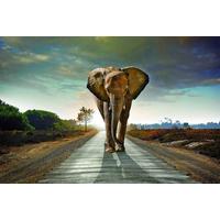 Vászonkép Kb. 150/100cm Desteny - sötétkék/kék, Basics, fa (150/100/3cm) - Modern Living