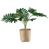 Kunstpflanze Philodendron II in Grün - Naturfarben/Grün, Basics, Naturmaterialien/Kunststoff (38cm) - Modern Living