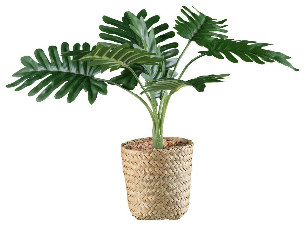 Kunstpflanze Philodendron II in Grün - Naturfarben/Grün, Basics, Naturmaterialien/Kunststoff (38cm) - Modern Living