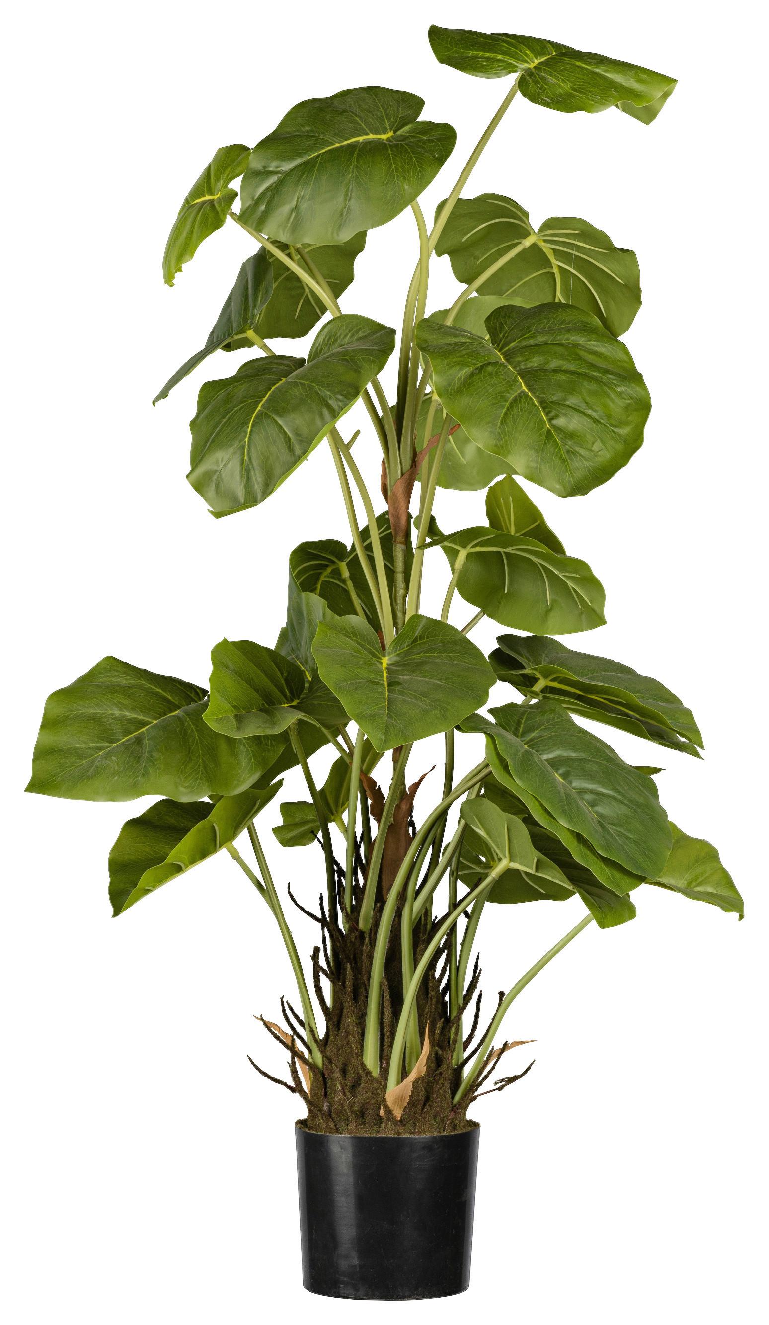 Umetna Rastlina Philodendron I -Paz- - črna/zelena, Natur, umetna masa (85cm) - Modern Living