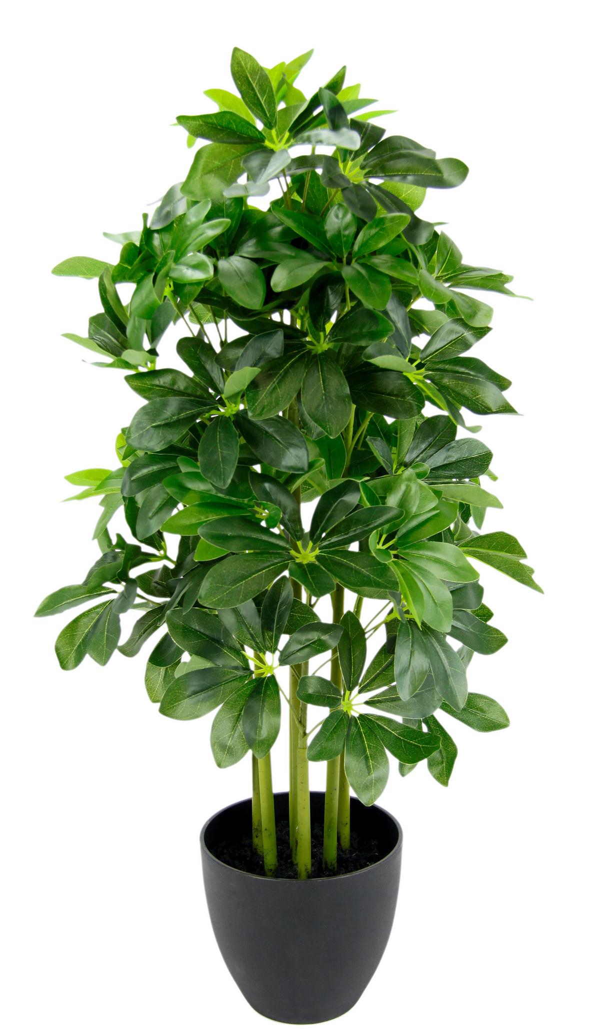 SZTUCZNA ROŚLINA 151558GN - zielony, Basics, tworzywo sztuczne/tkanina (80cm)