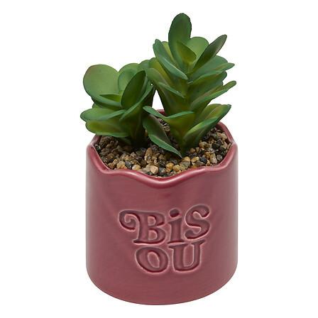 Plantă decorativă Cheri 14,5 cm - Basics (14,5cm)