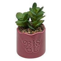 Plantă decorativă Cheri 14,5 cm - Basics (14,5cm)
