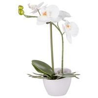 Műnövény Orchidea - fehér/zöld, Konventionell, műanyag/kerámia (33cm) - Based